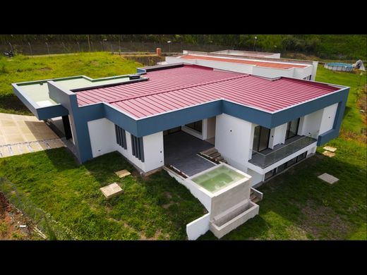 Gospodarstwo w Pereira, Departamento de Risaralda