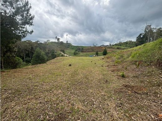 Terreno - Rionegro, Departamento de Antioquia