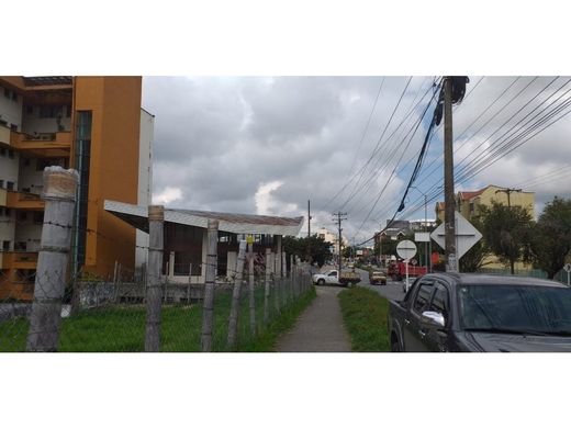 Arsa Armenia, Quindío Department