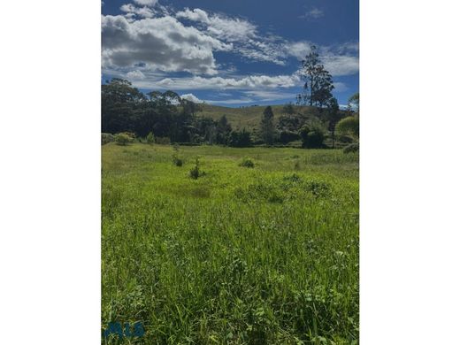 Arsa El Bagre, Departamento de Antioquia