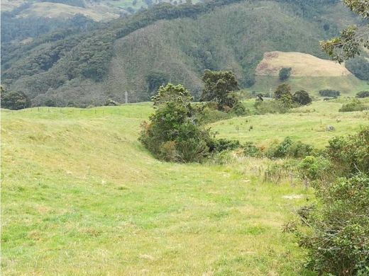 ‏בתים כפריים או חוות ב  San José de la Montaña, San José de La Montaña