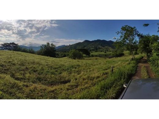 Boerderij in Pereira, Departamento de Risaralda