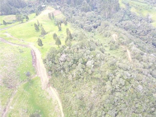 Land in Envigado, Departamento de Antioquia