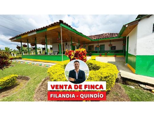 Farmhouse in Filandia, Quindío Department
