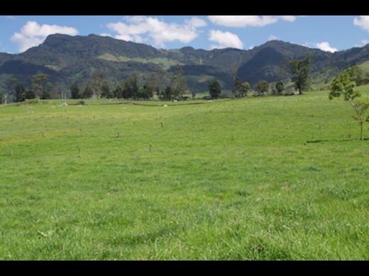 Boerderij in Facatativá, Departamento de Cundinamarca