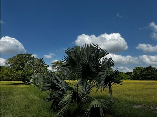 Arsa Montería, Departamento de Córdoba