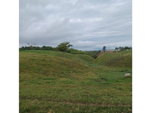 Arsa Circasia, Quindío Department
