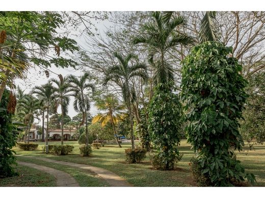 Rustico o casale a Santa Fe de Antioquia, Santafé de Antioquia