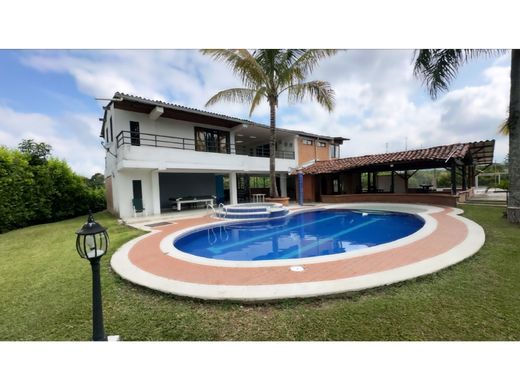 Ferme à Pereira, Departamento de Risaralda