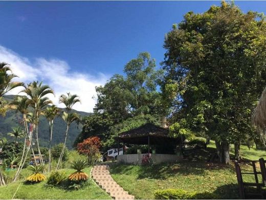 Otel Amagá, Departamento de Antioquia