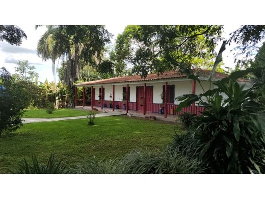 Ferme à La Tebaida, Quindío Department