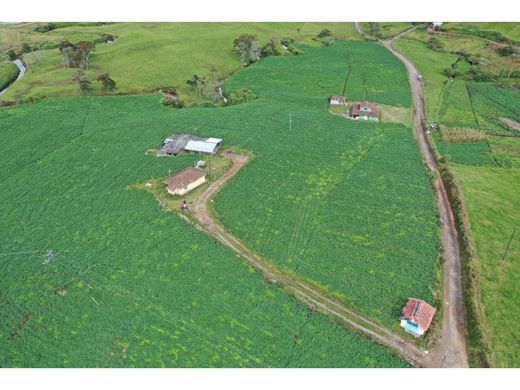 Ferme à La Unión, Departamento de Antioquia