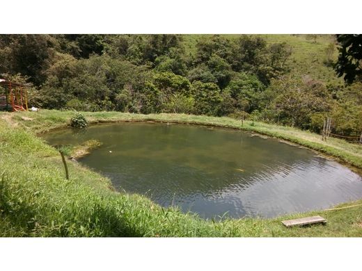 Farmhouse in Girardota, Departamento de Antioquia