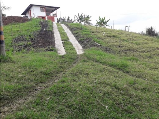 Farmhouse in Circasia, Quindío Department