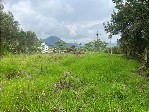 Manizales, Departamento de Caldasの土地