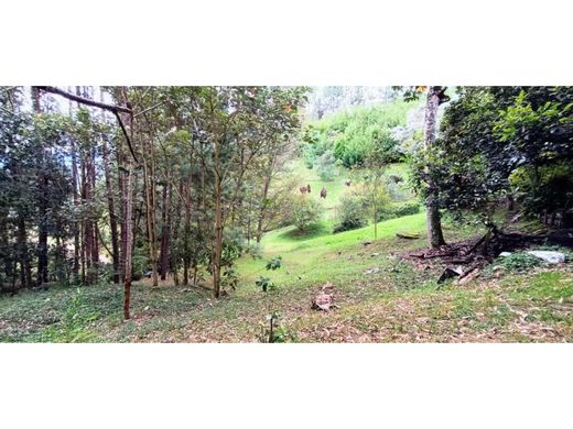 ﻣﻨﺰﻝ ﺭﻳﻔﻲ/ ﺑﻴﺖ ﻤﺰﺭﻋﺔ ﻓﻲ Retiro, Departamento de Antioquia