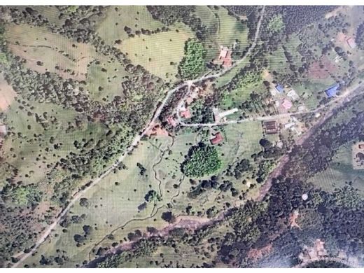 전원/농가 / Salento, Quindío Department