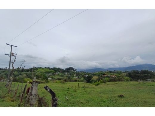 Arsa Circasia, Quindío Department