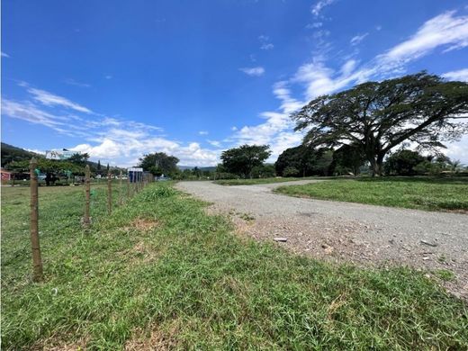Land in Palestina, Departamento de Caldas