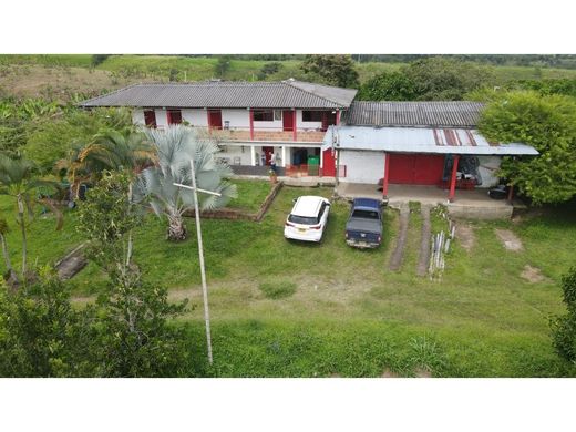 Ferme à Ulloa, Departamento del Valle del Cauca