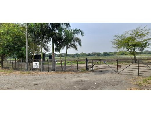 Luksusowy dom w Palmira, Departamento del Valle del Cauca