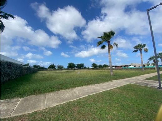토지 / Cartagena, Cartagena de Indias