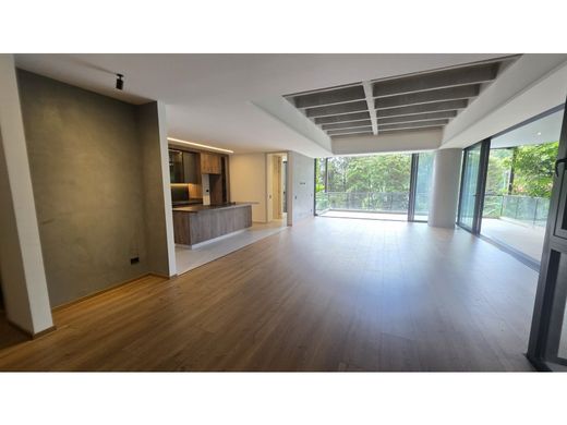 ﺷﻘﺔ ﻓﻲ ميديلين, Medellín