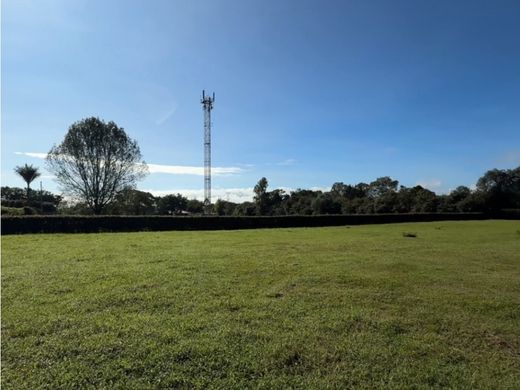 Terreno - Rionegro, Departamento de Antioquia