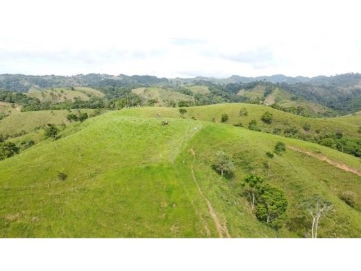 Gutshaus oder Landhaus in Puerto Berrío, Departamento de Antioquia