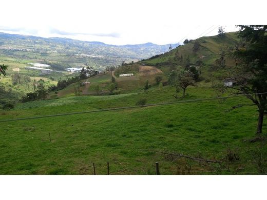 Tocancipá, Departamento de Cundinamarcaの土地