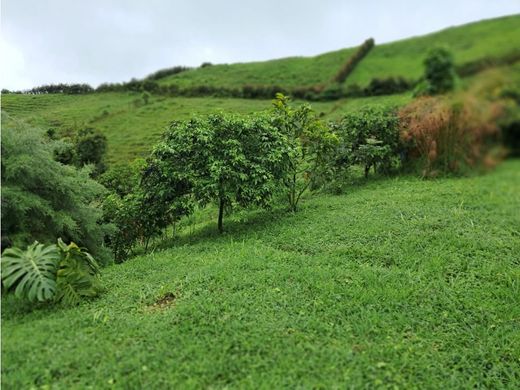 Διαμέρισμα σε Filandia, Quindío Department