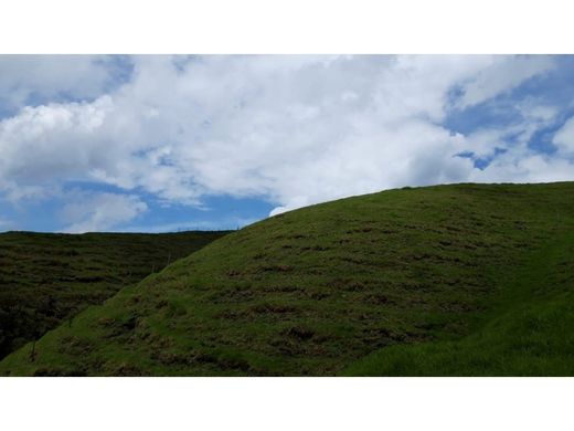 Terrain à Bello, Departamento de Antioquia