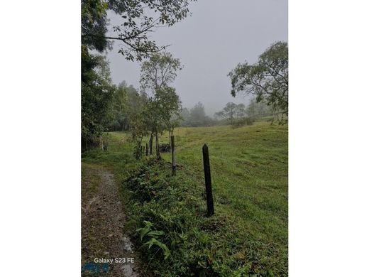 Arsa Rionegro, Departamento de Antioquia