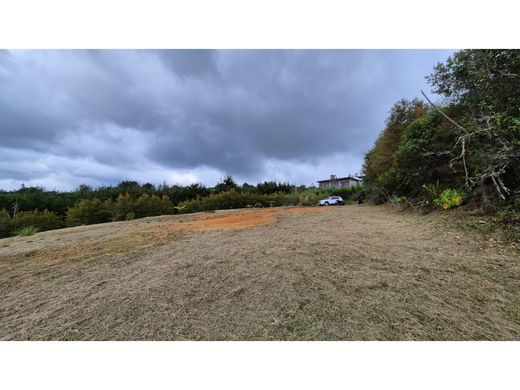 Участок, Retiro, Departamento de Antioquia