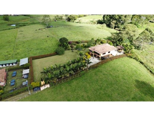 Rustik ya da çiftlik Rionegro, Departamento de Antioquia