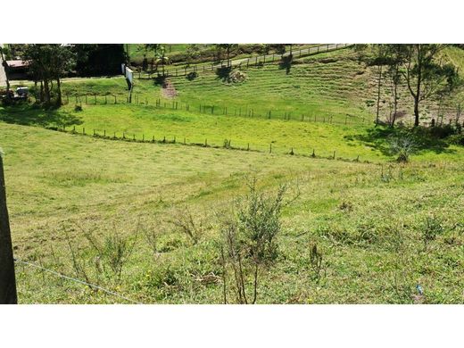 Terrain à Rionegro, Departamento de Antioquia