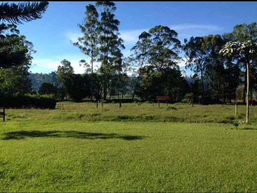 Grond in Guarne, Departamento de Antioquia