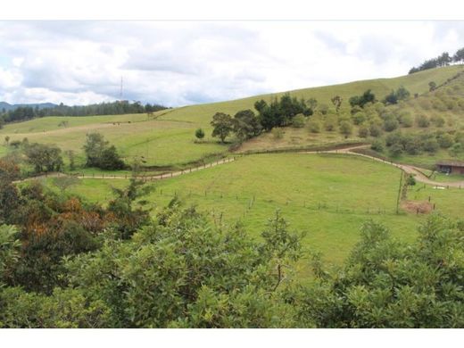 地皮  Retiro, Departamento de Antioquia