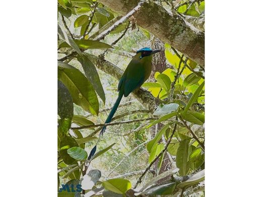 منزل ريفي ﻓﻲ El Bagre, Departamento de Antioquia