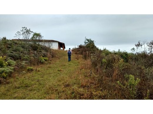 ﻣﻨﺰﻝ ﺭﻳﻔﻲ/ ﺑﻴﺖ ﻤﺰﺭﻋﺔ ﻓﻲ ميديلين, Medellín