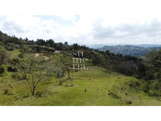 ‏קרקע ב  Rionegro, Departamento de Antioquia