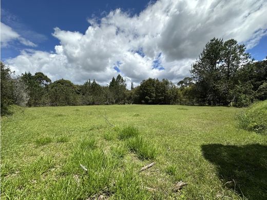 Land in Rionegro, Departamento de Antioquia