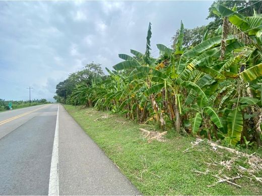 Terreno en Dibulla, Departamento de La Guajira