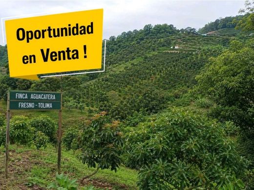 Rustykalny lub Wiejski w Fresno, Departamento de Tolima