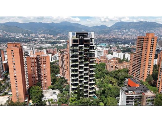 Daire Medellín, Departamento de Antioquia