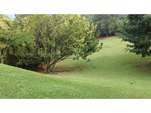 ‏קרקע ב  מדיין
, Medellín