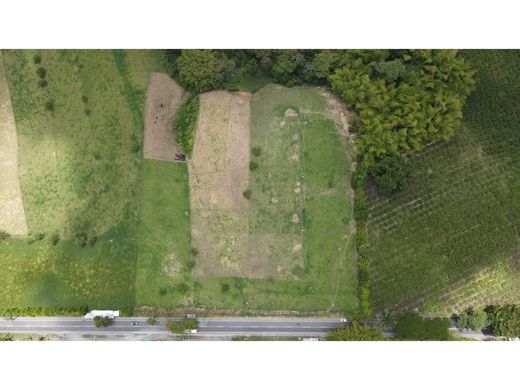 Arsa Armenia, Quindío Department