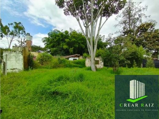 Land in Rionegro, Departamento de Antioquia