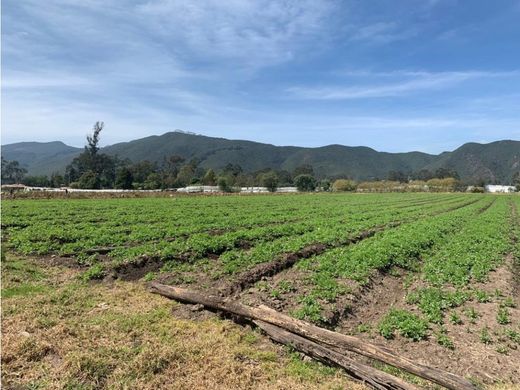Grond in Sopó, Departamento de Cundinamarca