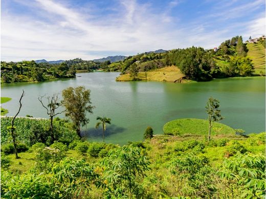Terrain à El Peñol, Yarumal